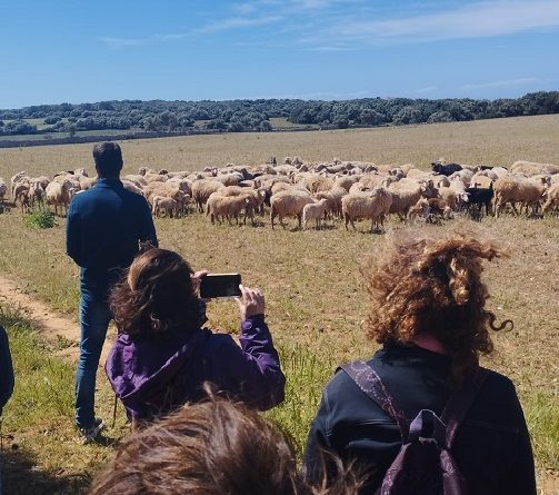 CRÒNICA, CANS D’ATURA. ABRIL’23.